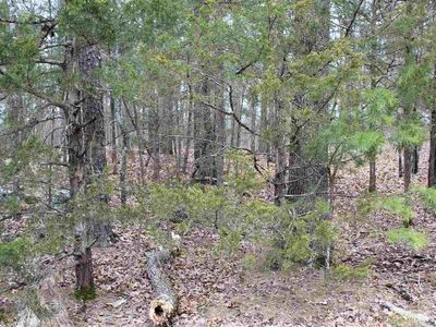 55 Wild Acres Rd, Drasco, AR, 72530