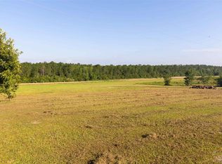 19755 Vaughn Rd, Seminole, AL 36574