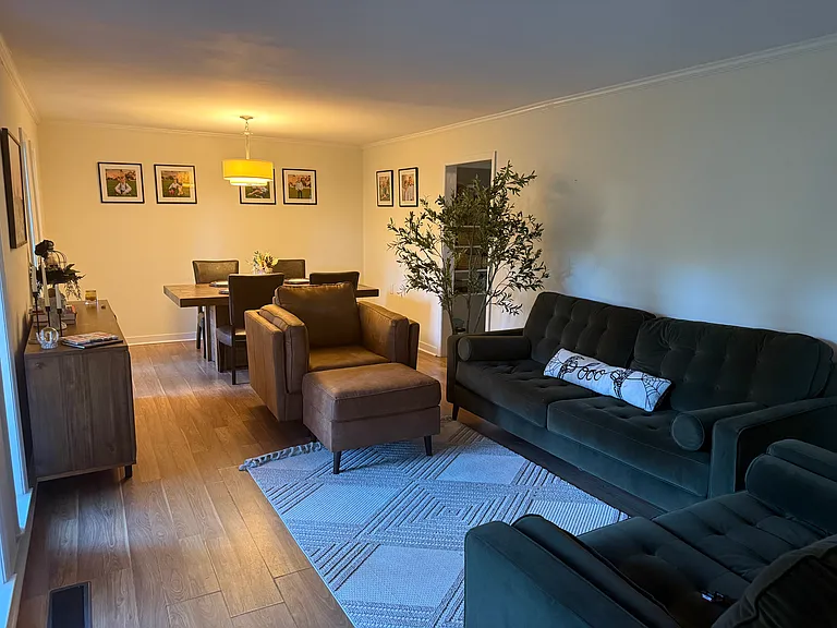 702 E Pinetree Blvd — Photo 20