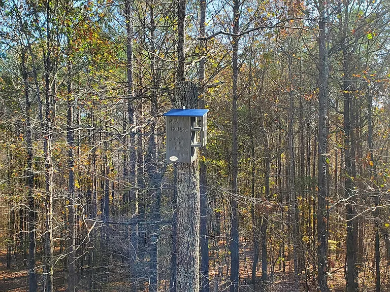 30 County Road 277 — Photo 14