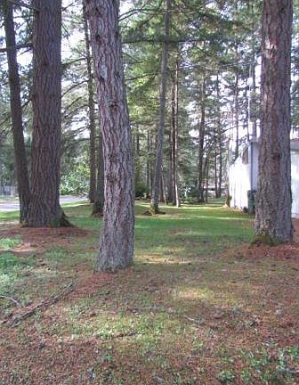 5th image of 5518 Oxalis Drive West