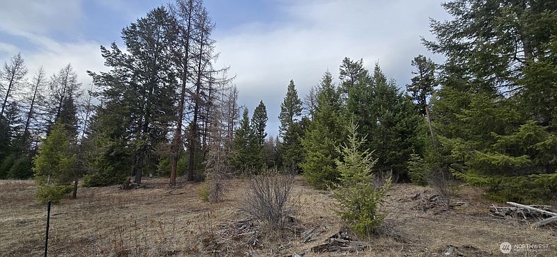 4th image of 99 Prior Loop Road