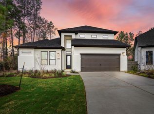 17206 Blooming Suzans Ln, Conroe, TX 77302