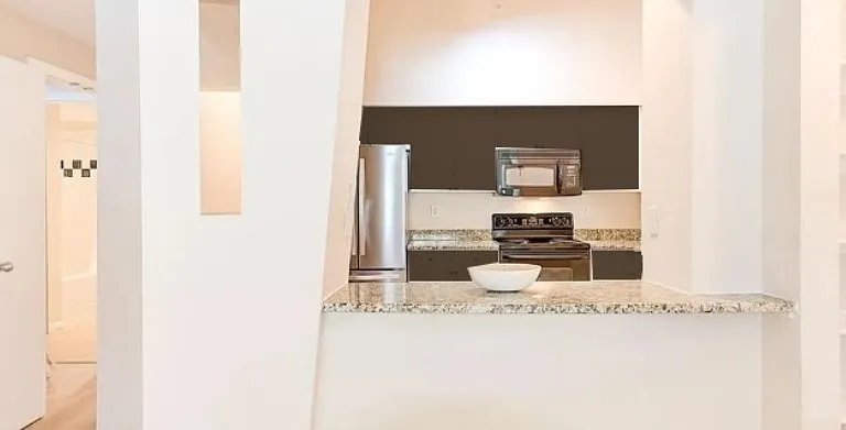 2331 W Horatio St #816 — Photo 5