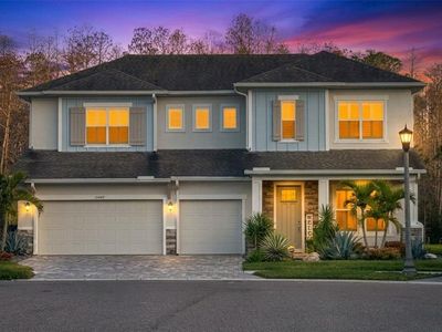 15469 Aviles Pkwy, Odessa, FL, 33556