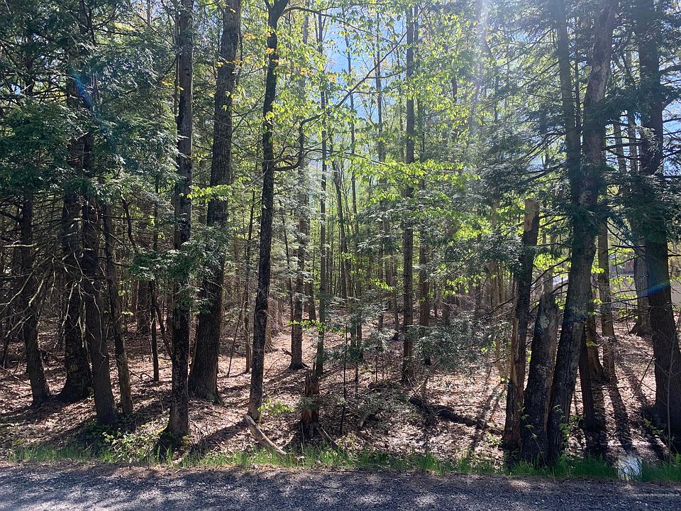 2nd image of 655 River Rd