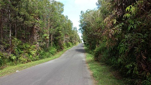2nd image of Plumeria St Lot 6623