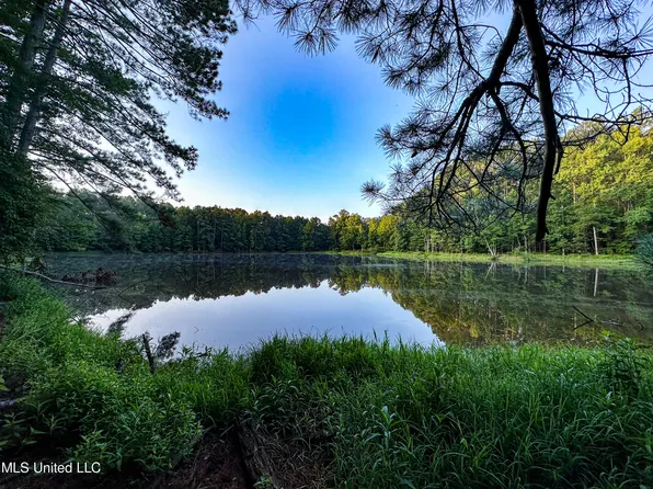 LOT 4 Canyon Rdg, Flora, MS 39071