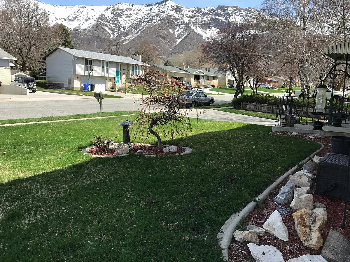 Front Yard 
Beautiful Mountain Views - 835 E 2800 N