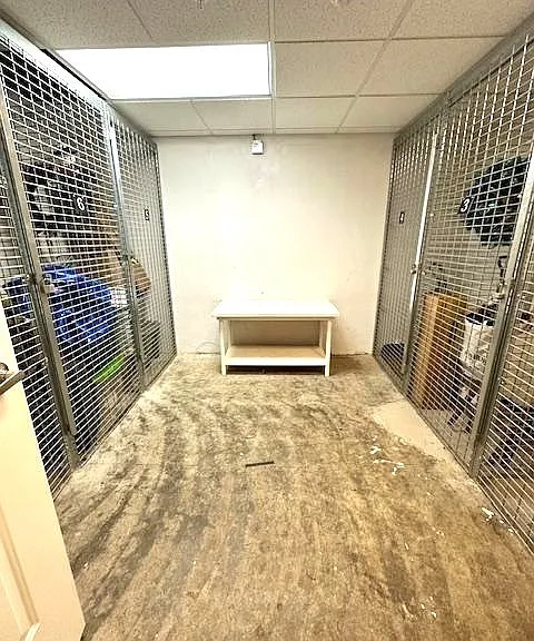 786 Kenmore Ave #11 — Photo 18