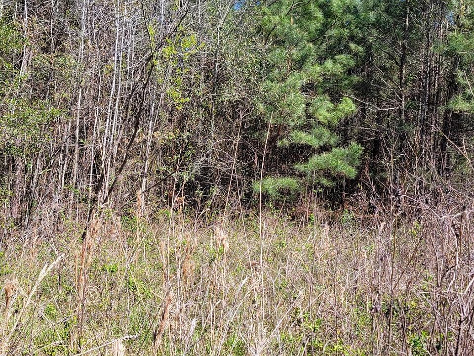 2nd image of 87 N.C. 87 Highway E