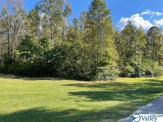 2nd image of 0 County Road 38