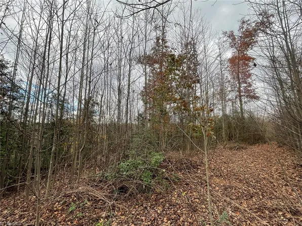 LOT 14 Pulco Ln Lot 14, Ronda, NC 28670