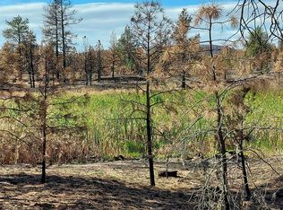 56XX S Clear Lake Rd, Medical Lake, WA 99022