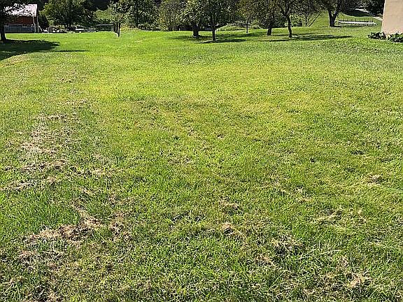 3rd image of 305 Independence Dr