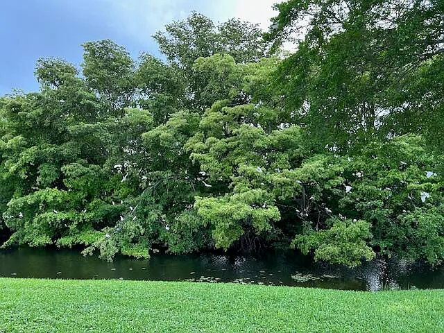 200 Lake Carol Dr — Photo 20