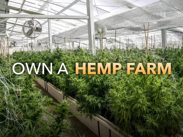 500 CR 175, Chimney Rock, CO 81147