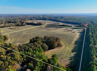 295 W Fork Rd, Grand Junction, TN 38039