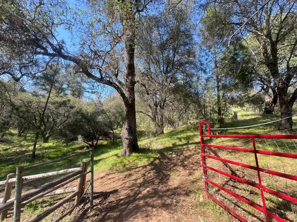 18907 Shake Ridge Rd, Sutter Creek, CA 95685