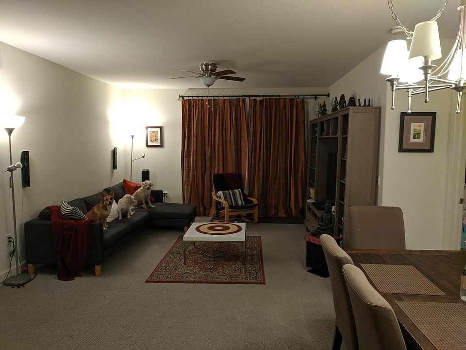 Living Room from the foyer