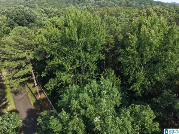 5389 Old Shadow Lake Rd #0, Pinson, AL 35126