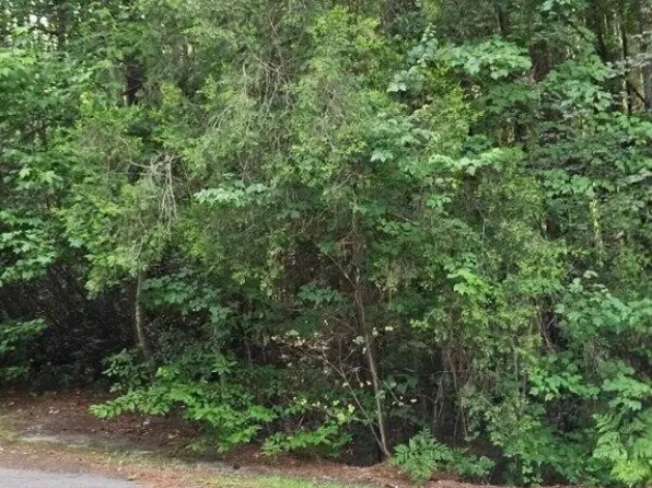 664 Wren Ln, Vass, NC 28394