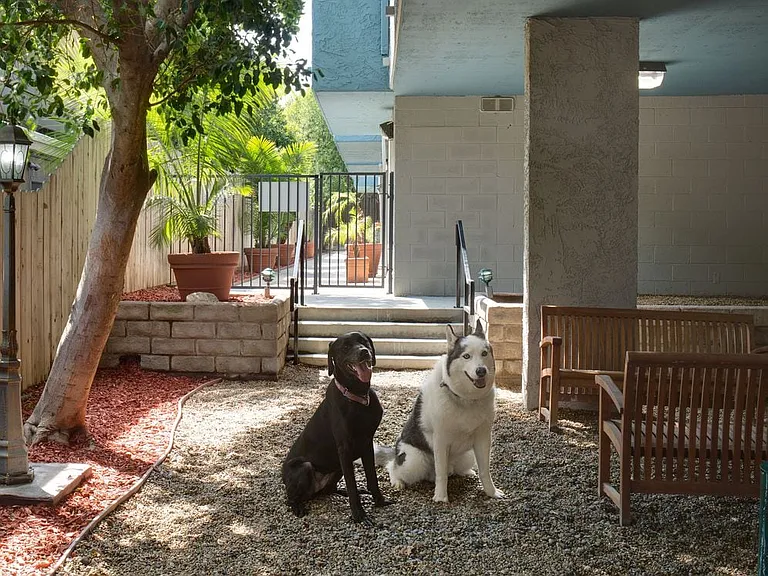 WAG Pet Park