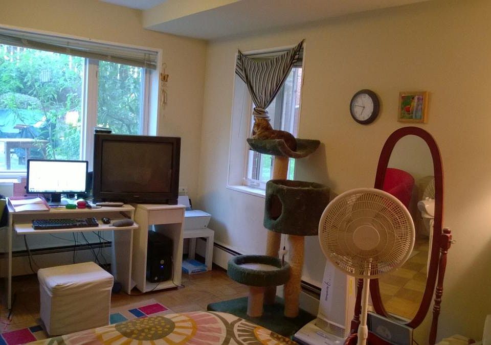 Main Room