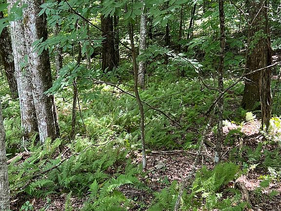 2nd image of Lot 7 Sori Lane