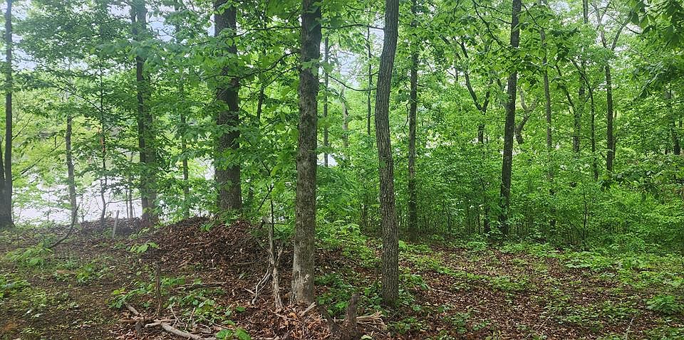 1st image of 163 Davis N Lake Rd