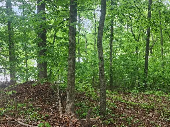 163 Davis N Lake Rd, Camden, TN 38320