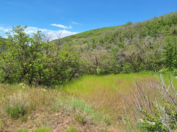 4810 E Badger Hollow Ln S, Salt Lake City, UT 84108