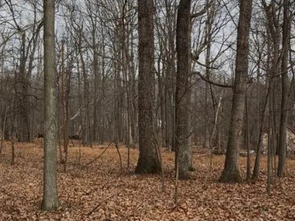 Winding Ridge Ln Lot 10, Winchester, VA 22603