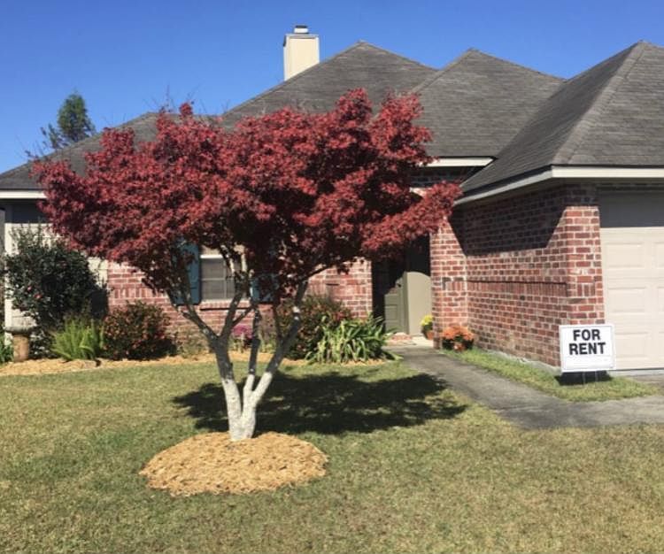 1st image of 113 Meagans Way Dr
