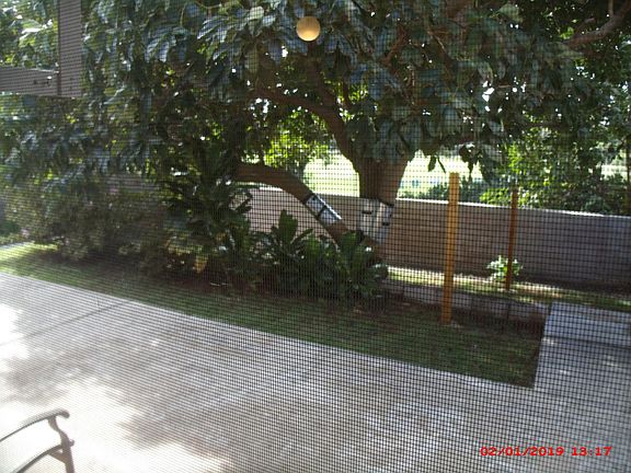 3rd image of 2684 Onu Pl