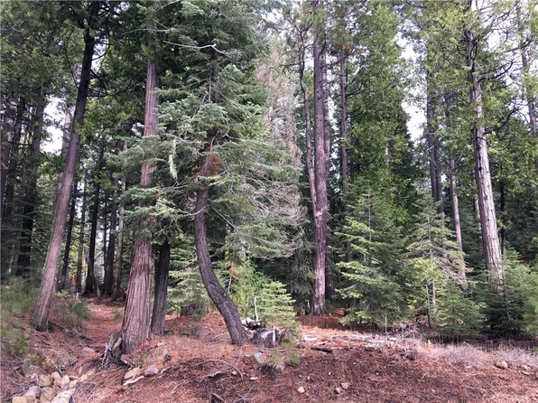 7586 Humboldt Rd, Butte Meadows, CA 95942