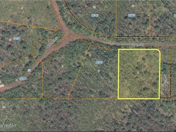 L1 W Sharen Dr, Willow, AK 99688