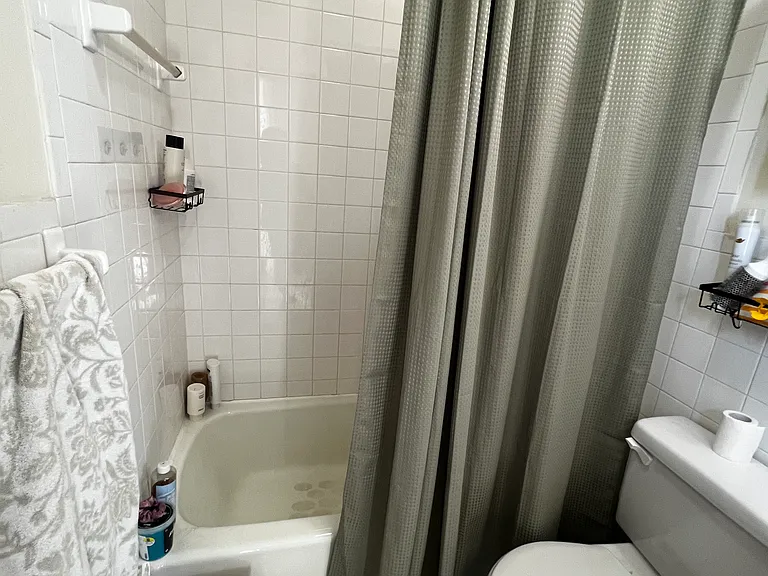 234 Pearl St #1 — Photo 7