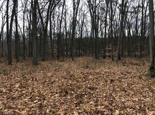 2342 N Conservative Xing, White Cloud, MI 49349