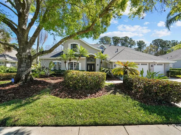 12117 Clear Harbor Dr, Tampa, FL 33626