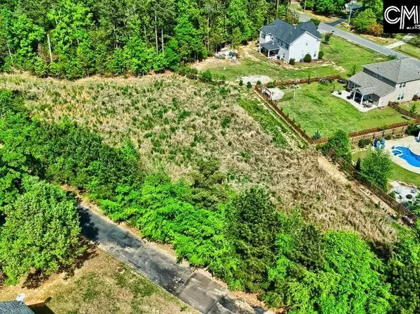 109 Carrituck Ct, Chapin, SC 29036