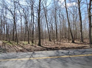 55 Sawmill Rd, Sparta, NJ 07871