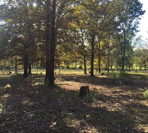 5th image of 286 County Road 1311