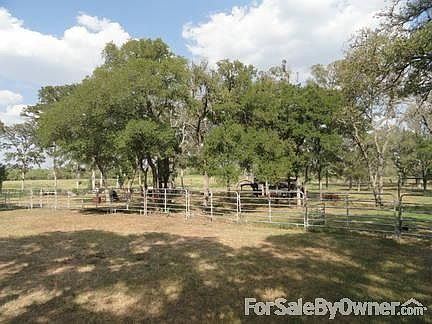 Watch the deer & turkeys