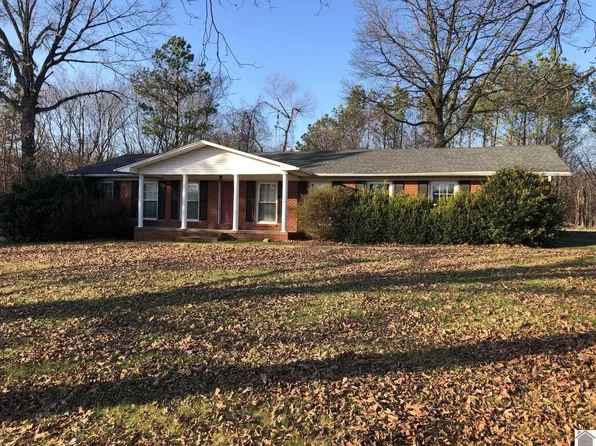 9214 E 94th, Farmington, KY 42040