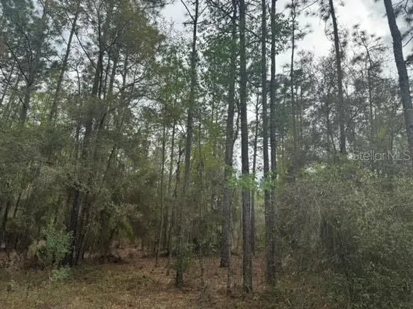 0 SW 30th Ln #113, Ocala, FL 34481