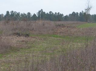 0 Edgar Holmes Rd, Tylertown, MS 39667