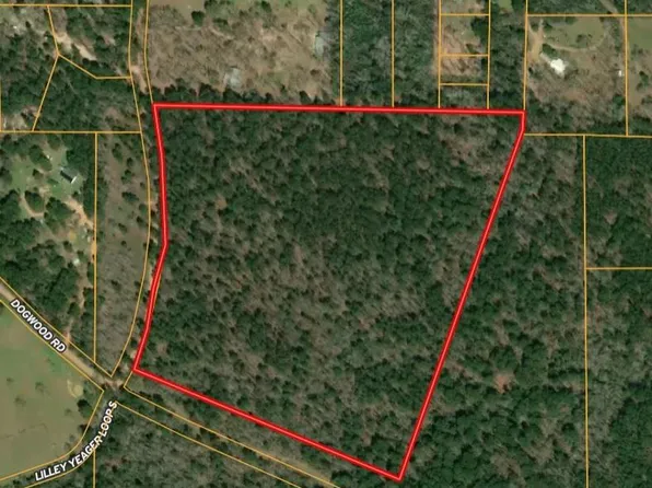 31 Lilley Yeager Loop N, Cleveland, TX 77328
