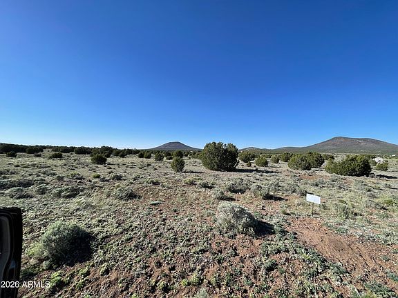 3rd image of 7775 TULIP Trail #3