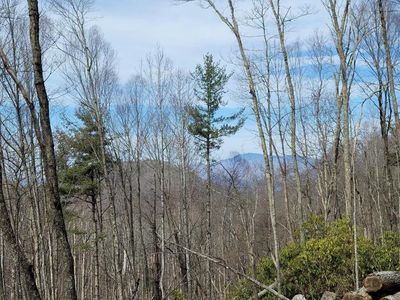 0 Upper Doe Bag Rd, Green Mountain, NC, 28740